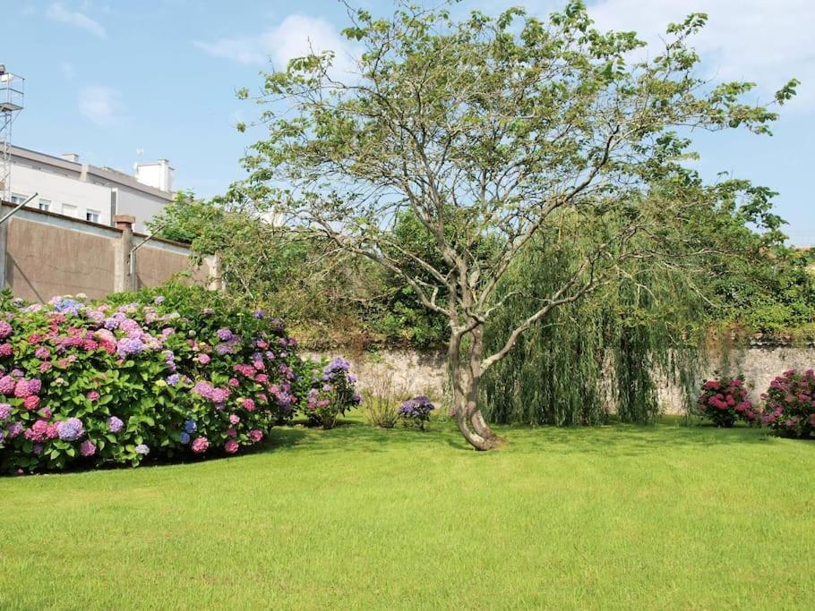 Precioso Apartamento Wifi, Aparcamiento, Piscina En Llanes Exteriér fotografie